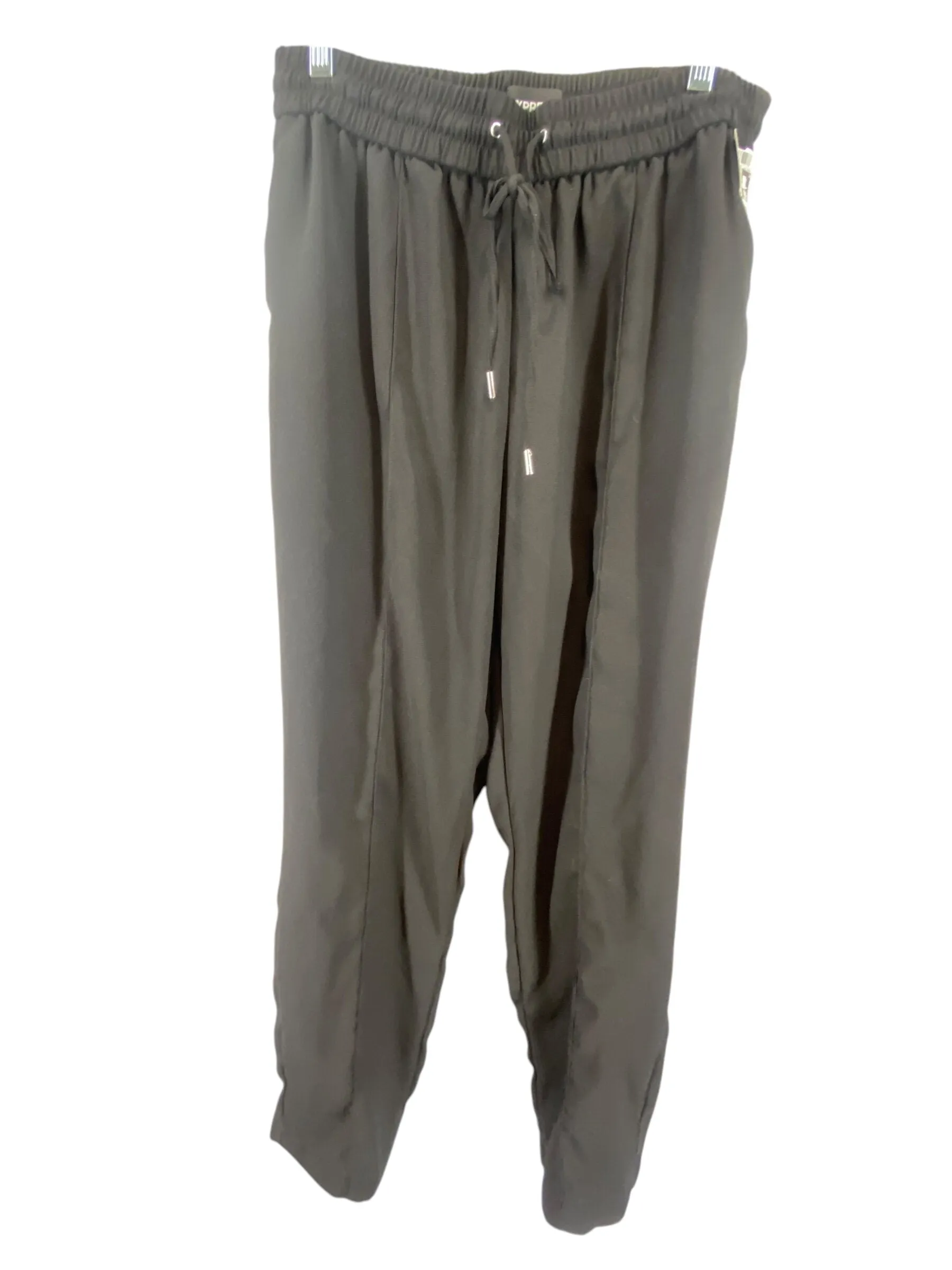 Pants Joggers By Express  Size: S