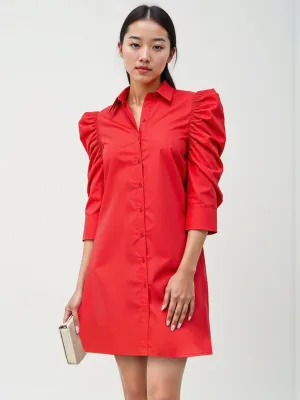 Puff Sleeve Shirt Mini Dress
