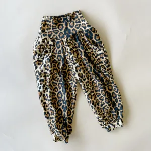 Sumaya | Cheetah | Adult