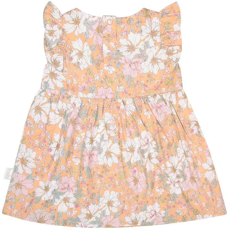 TOSHI BABY DRESS YASMIN TAMARIND